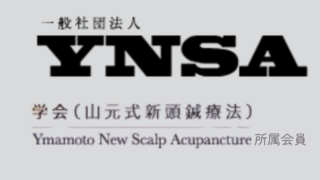 書籍「YNSA 山元式 新頭鍼療法の実践」　超要約してみた。 