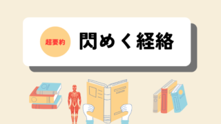 閃めく経絡　超要約 