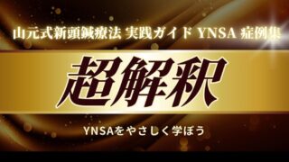 YNSA  症例集　超解釈 