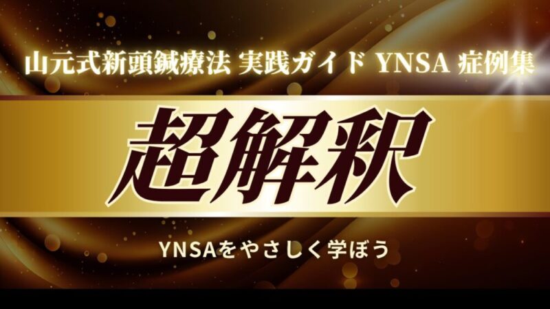 YNSA 症例集 超解釈